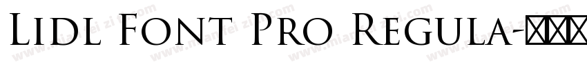 Lidl Font Pro Regula字体转换